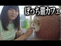 【女ひとり】初めての猫カフェで癒されてきた