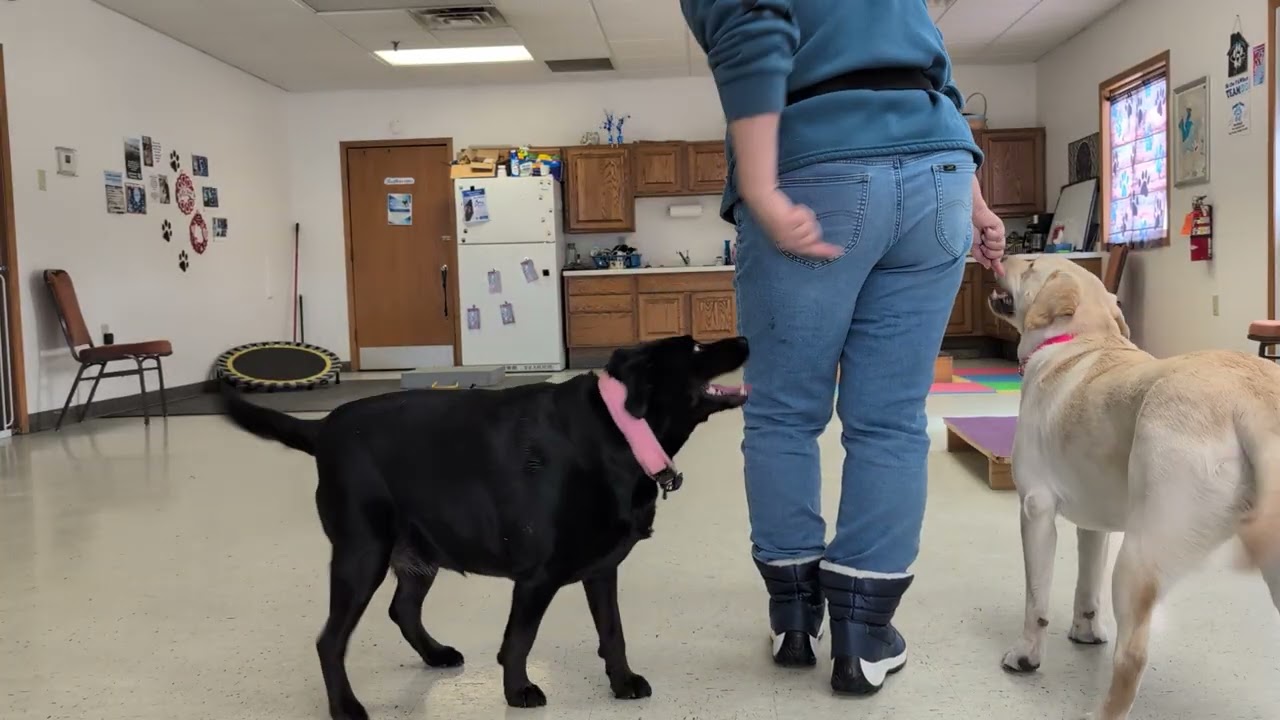 Tandem Heel & Pivots