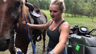Will The Horse Trust Zoe To Ride ?