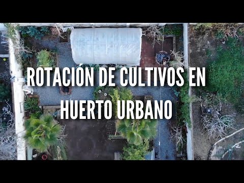 Crop rotation in the city!
