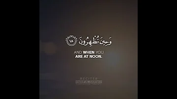 سورة الروم القارئ عمر الدريويز 