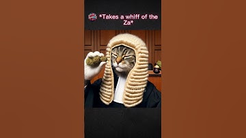 How to catch a killer (cat edition) #ai #chatgpt #aiart #cat