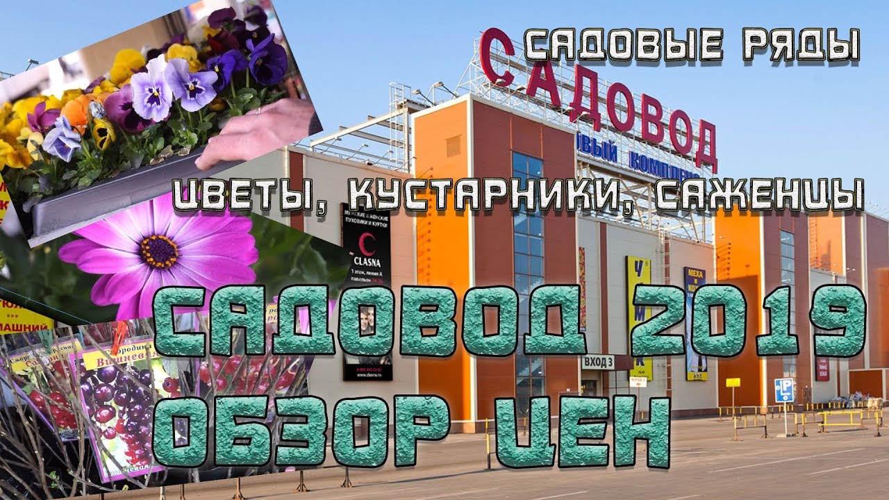 Официальный Магазин Садовод Москва