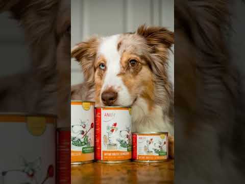 Anifit Futter Hunde & Katzen. Neukunden sparen 10% 🔥 Rabattcode: KNUFFEL 🔥 Einlösbar auf anifit.de