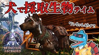 クリスマスだけどワンちゃん連れてテイムにいくぞう【ARK: SA エクスティンクション #2】