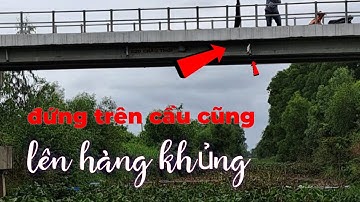 Cùng anh em chuyến hữu khám phá kênh lục bình chết ở Mộc Hóa .#caucahocmon