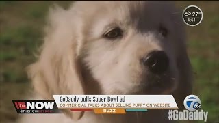 go daddy pulls super bowl ad