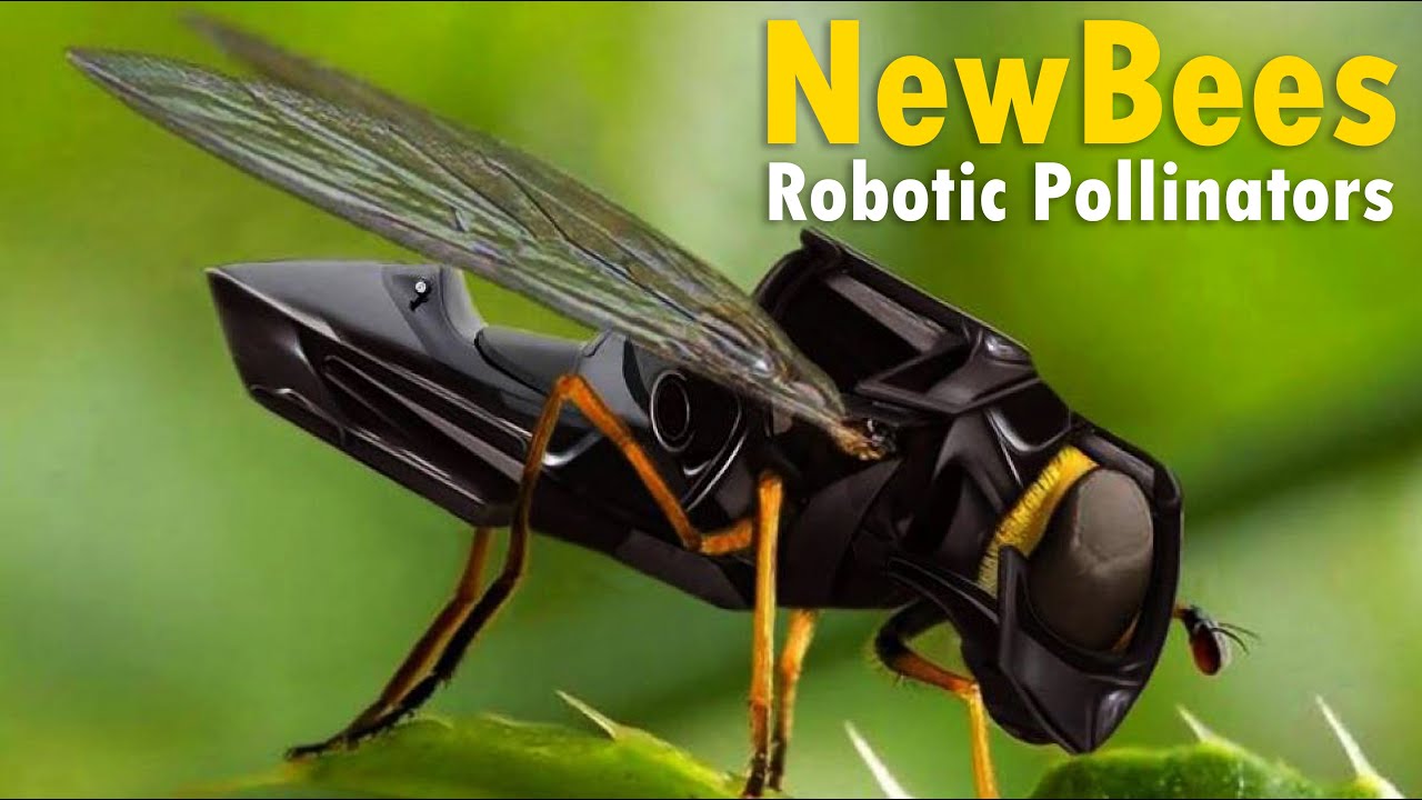biograf Kano forslag NewBees - Robotic Pollinator | Solar Powered Honey Bees..! | Agriculture  Robotics - YouTube