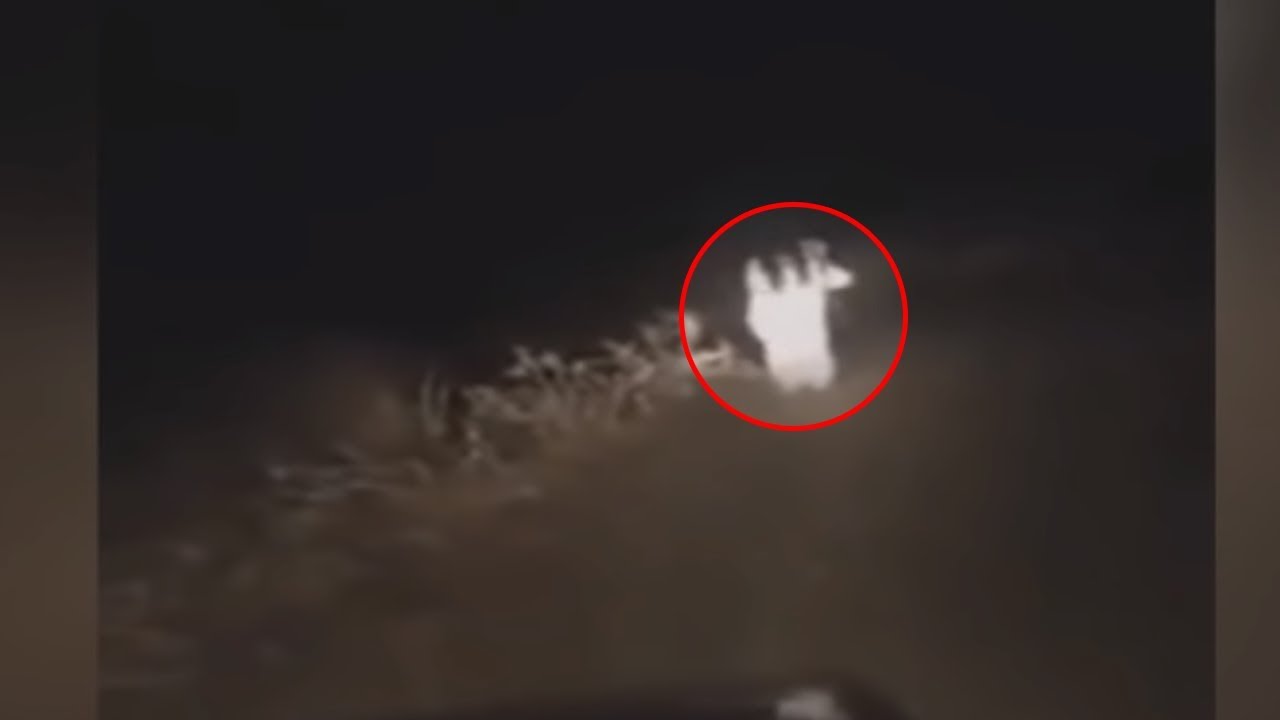 5 Criaturas MISTERIOSAS Capturadas por CÂMERA - YouTube