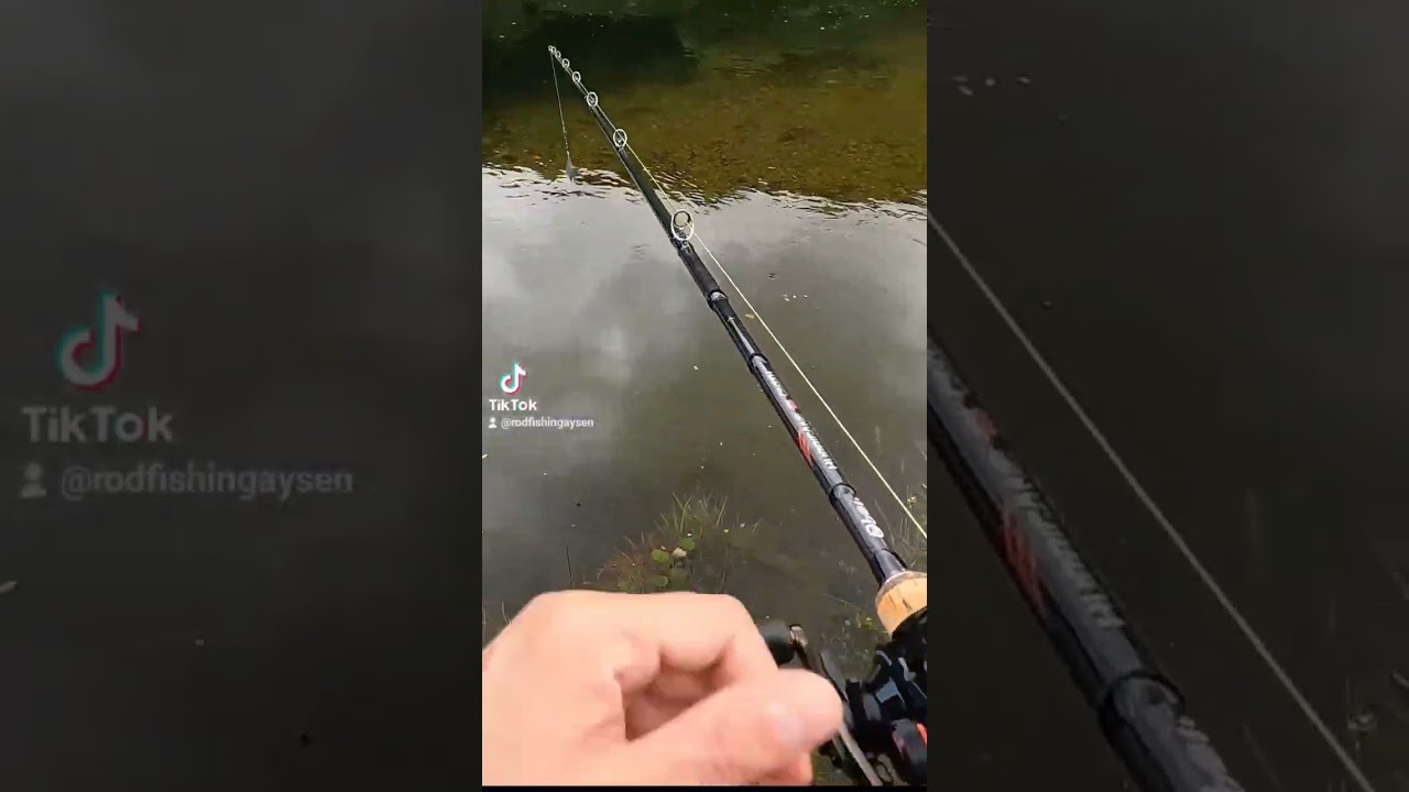 Cuando pescas con Spinning y te cambias a Baitcasting #youtubeshorts #shorts #fishing #baitcasting