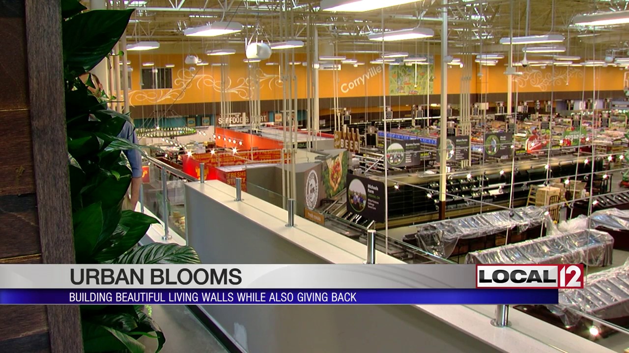 Urban Blooms Building beautiful living walls while also giving back YouTube