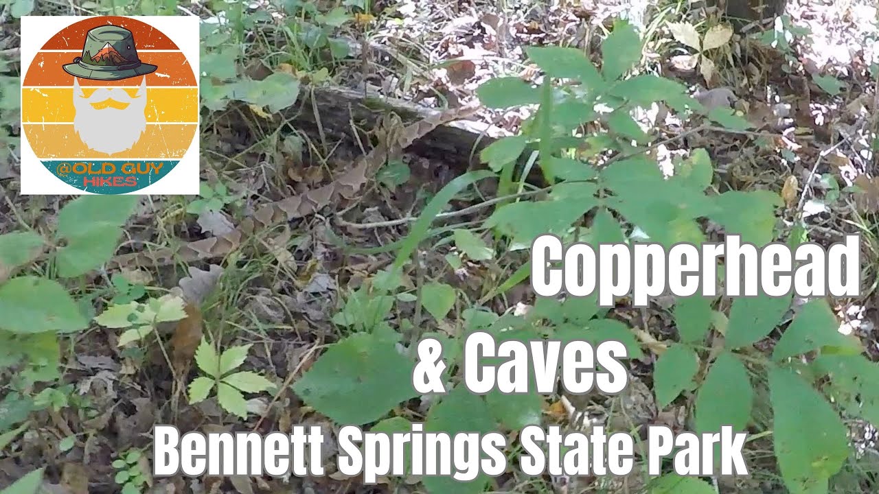 Copperheads and Sketchy Caves, Springs SP Natural Tunnel Trail