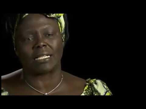 Vidéo: Perspectives Sur La Pauvreté (et Autres Histoires Africaines) - Réseau Matador