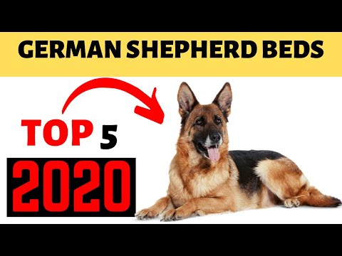 best-dog-beds-for-german-shepherds-2020-|-large-orthopedic-dog-bed.