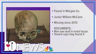 Dog found human skull
