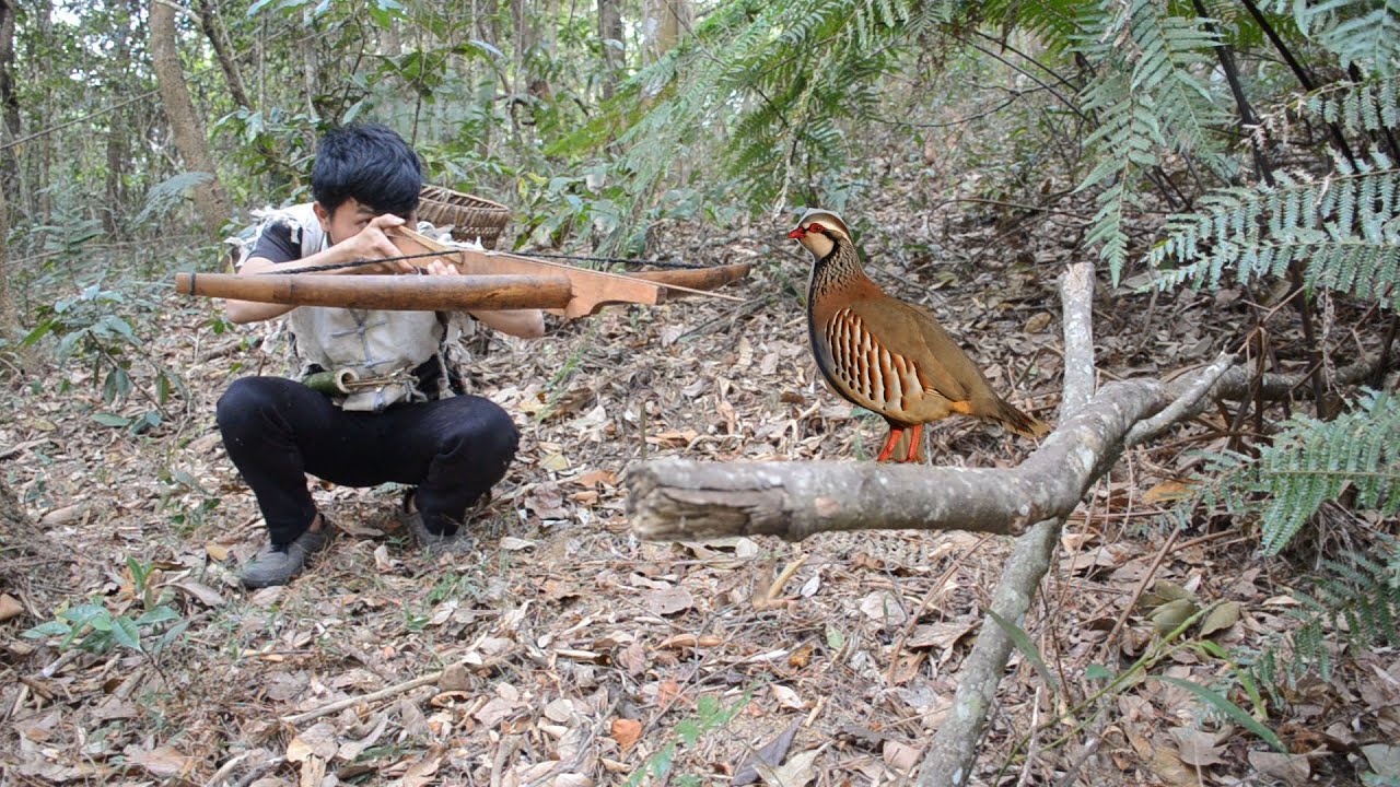 Shooting Partidge Survival day Picking Natural Tree Vegetable Lives With Shooting ...