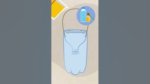 How To Make a Bee Trap #shorts