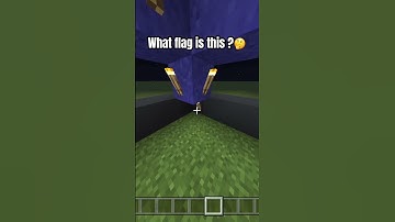 What flag is this ?? 🥶     Leave your answers in the comments ! #gaming #viral #sleek #minecraft