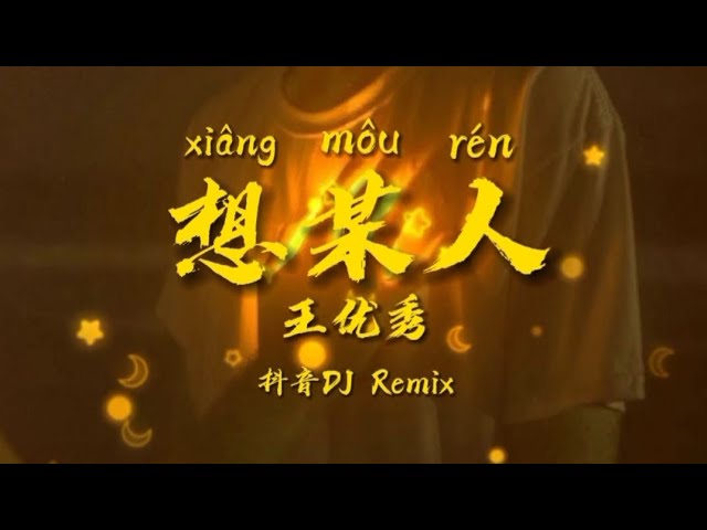 王优秀 _-_ 想某人 | 抖音DJ Remix (Pinyin & Myanmar Lyrics Video) class=