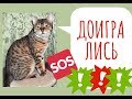 Доигрались!!! ЧП местного масштаба....