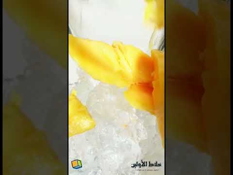 الخلاط الياباني فيشر ستانلس ستيل