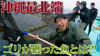 【衝撃映像】沖縄県最北端でゴリが漁に参戦!?沖縄県の珍しい魚をたくさん獲りまくる