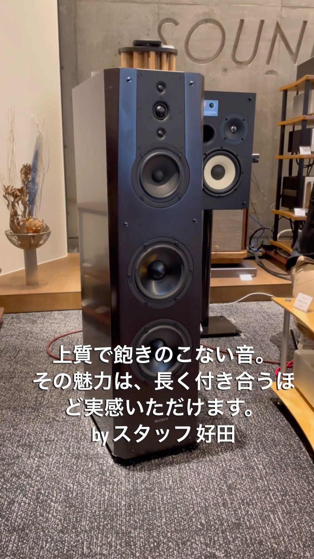 この出会い、逃したらもったいない！✨】USED SONY SS-NA2ES