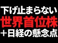 あの業界で世界1位の優良株が下げ止まらず+日経平均を邪魔する要因