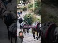 La Cadena Comercial de Petronila Abeleyra