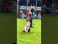 🌿🌱🍃THE GRASS DANCERS🍃🌱 #powwowsoninsta #powwowsontiktok #powwowsonyoutube