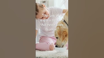 Heartwarming Dog Quotes | Dog Quotes | Canine Quotes | Inspirational Quotes #quotes#dog#shorts