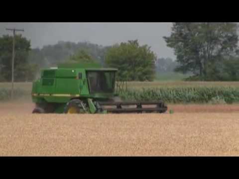 2010 Wheat Harvest - Dwain Radloff's Test Plot.mp4