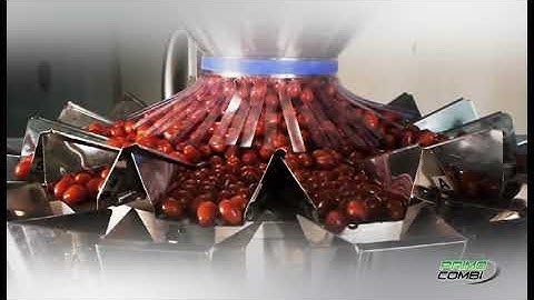 PrimoCombi® multihead weigher presentation video