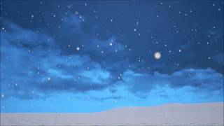 Snow Particle Test