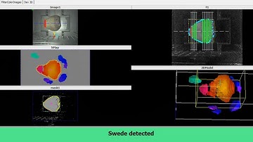 Automatic Swede Trimming using 3D Machine Vision