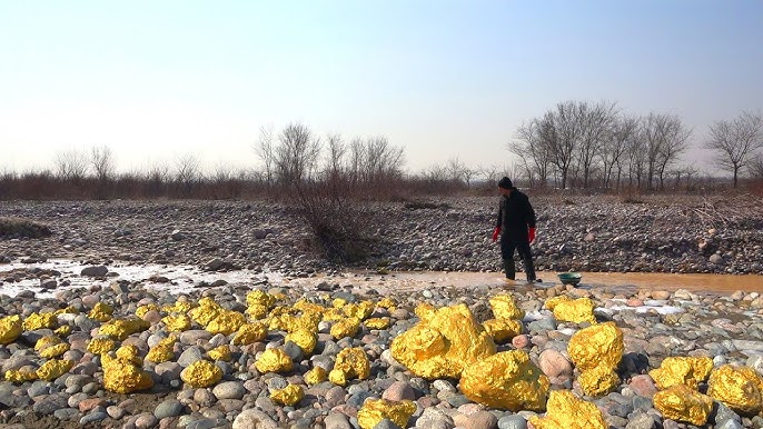 Gold rush! Mud streams freed big pieces of gold on this river right under your feet!!! SO MANY - YouTube