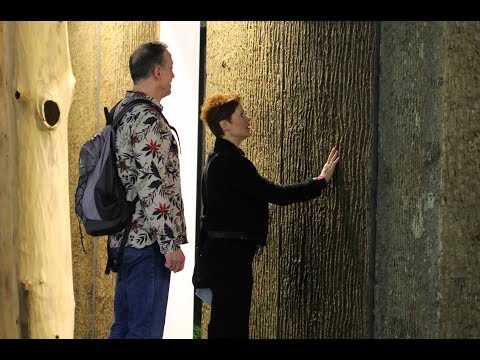 youtube-video-thumbnail