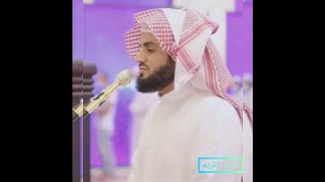تلاوة خاشعه"القارئ رعد الكردي"حالات واتس اب دينيه#قرأن كريم