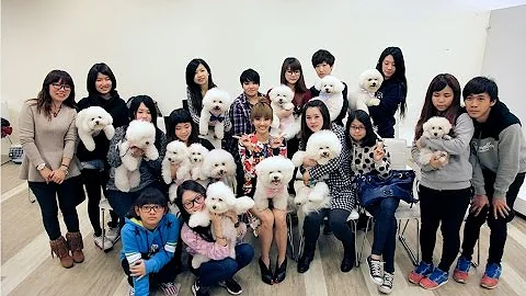 蔡依林 Jolin Tsai - 呸計劃第五集 Play Project Ep.5 :調「虎」離山計 (華納official 網路實境節目) - 天天要聞