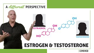 Testosterone & Estrogen | A Different Perspective | Episode 134