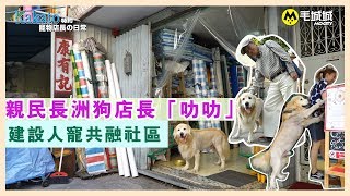 【Kakato 特約寵物店長之日常】 親民長洲狗店長「叻叻」 建設人寵 ...