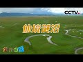 《地理·中国》 20210401 自然奇观·仙境谜沼| CCTV科教