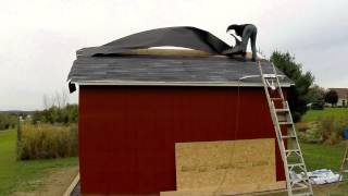 Shed Build 12   Roof! Part 2