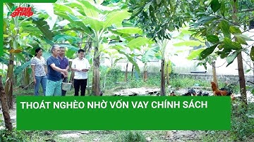 Thoát nghèo nhờ vốn vay chính sách