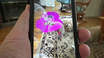Wonderscope: AR meets voice recognition. The first level.