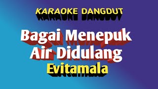 Bagai Menepuk Air  Didulang  Evitamala Karaoke Tanpa Vokal@DEDIROSADI