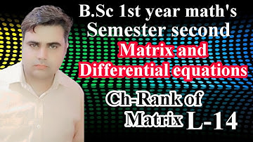 B.Sc-1st year maths|Semester Second| Matrix and Differential equations||chapter-Rank  of Matrix|L-14