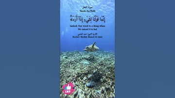 إنما قولنا لشيء إذا أردناه أن نقول له كن فيكون | سورة النحل #دعاء_ورسالة Surah An-Nahl