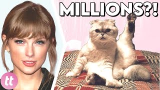 15 Richest Celebrity Pets