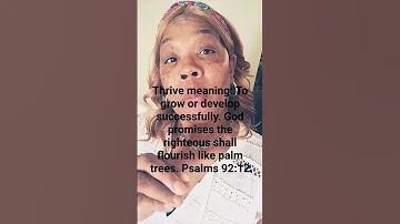 Grow Like A Cedar In Lebanon Love Faith Peace Jesus Identity Belief 